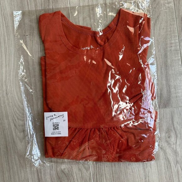 June & January Rust Swing Dress 2T - Picture 1 of 2